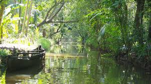Kumarakom Bird Sanctuary